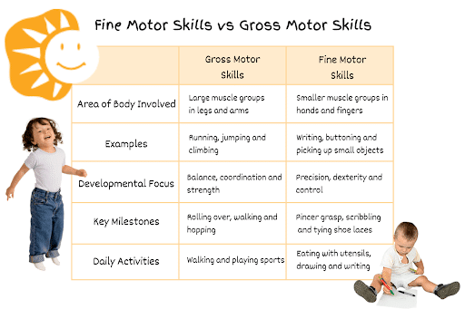 Table comparing fine vs gross motor skills