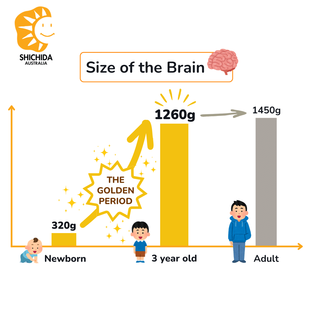 Size of the brain from birth, showing the golden period of development for babies