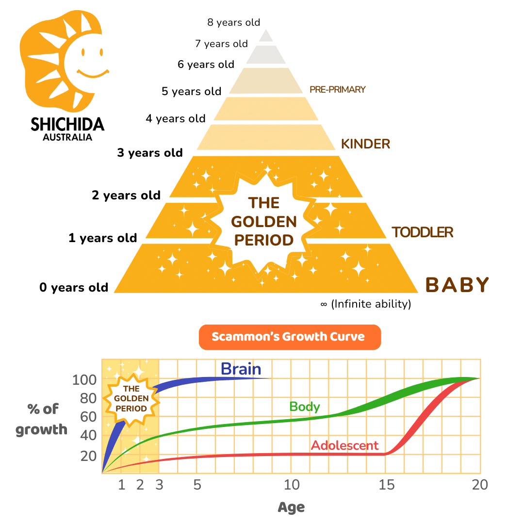 Diagrams showing the golden period of child development