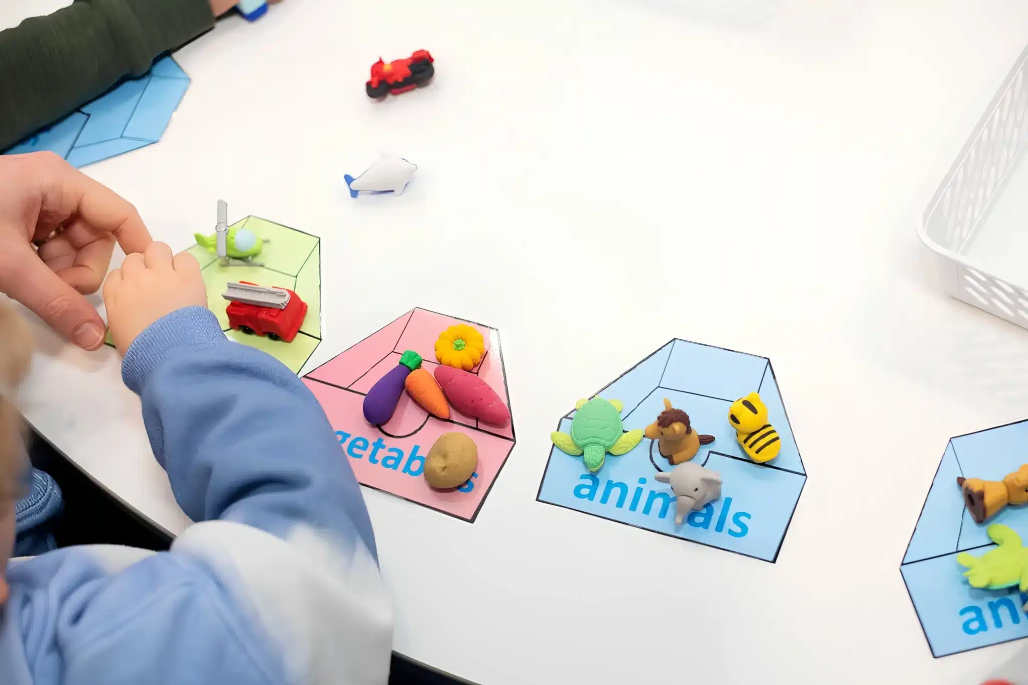 A preschooler sorts small toys according to category