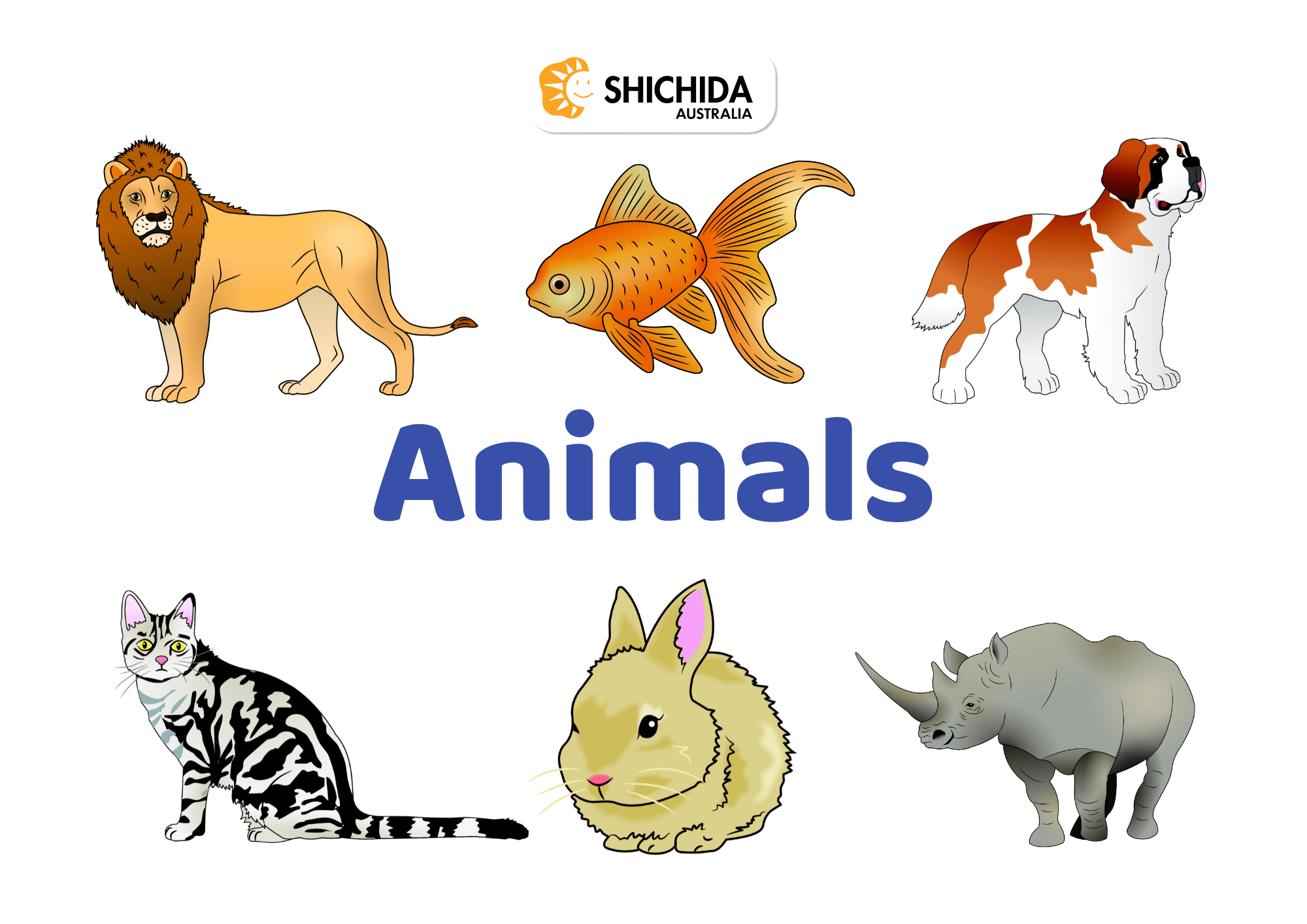 flashcards animals free DIY set