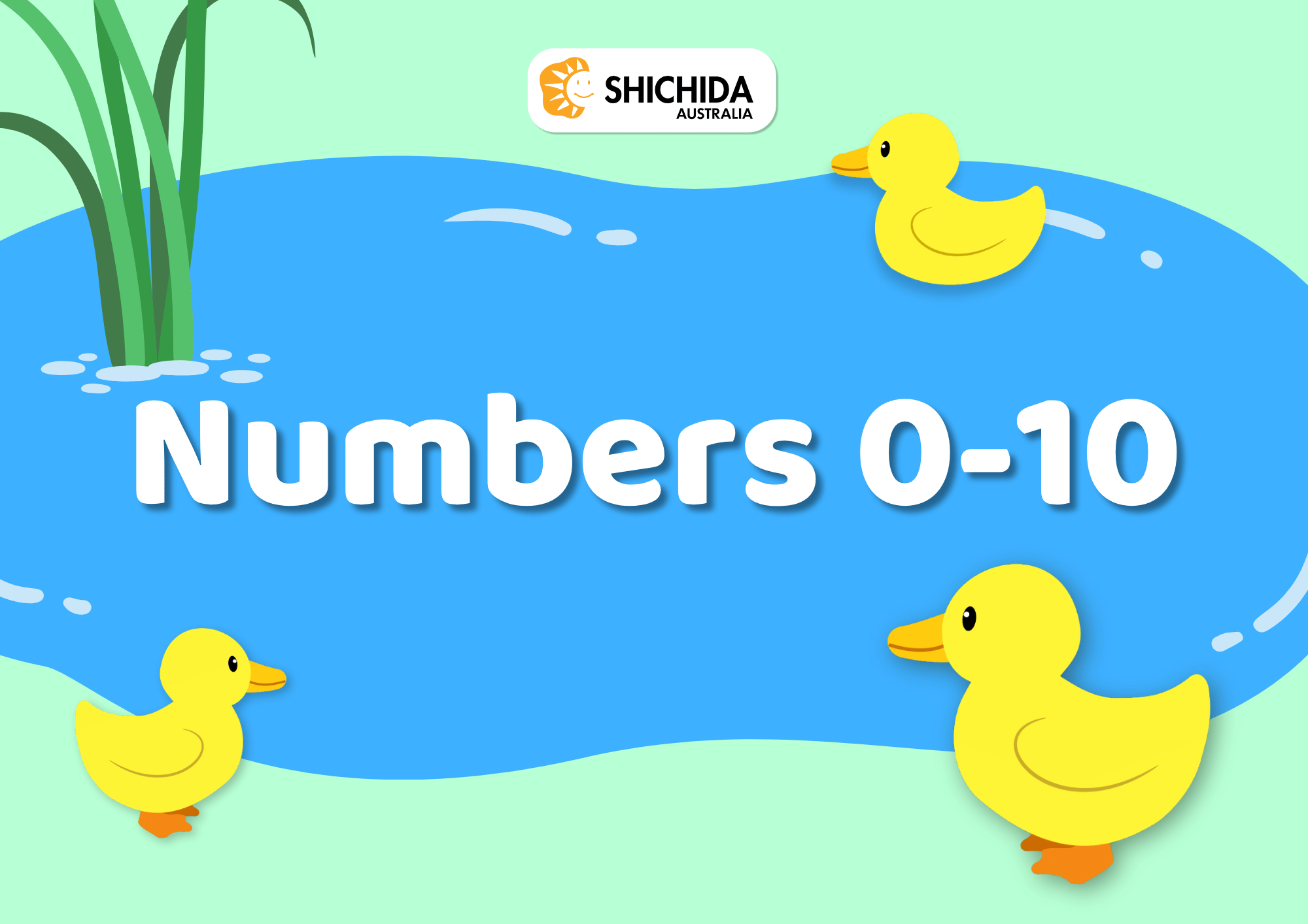 Math Flash Cards Numbers 0-10 flashcards