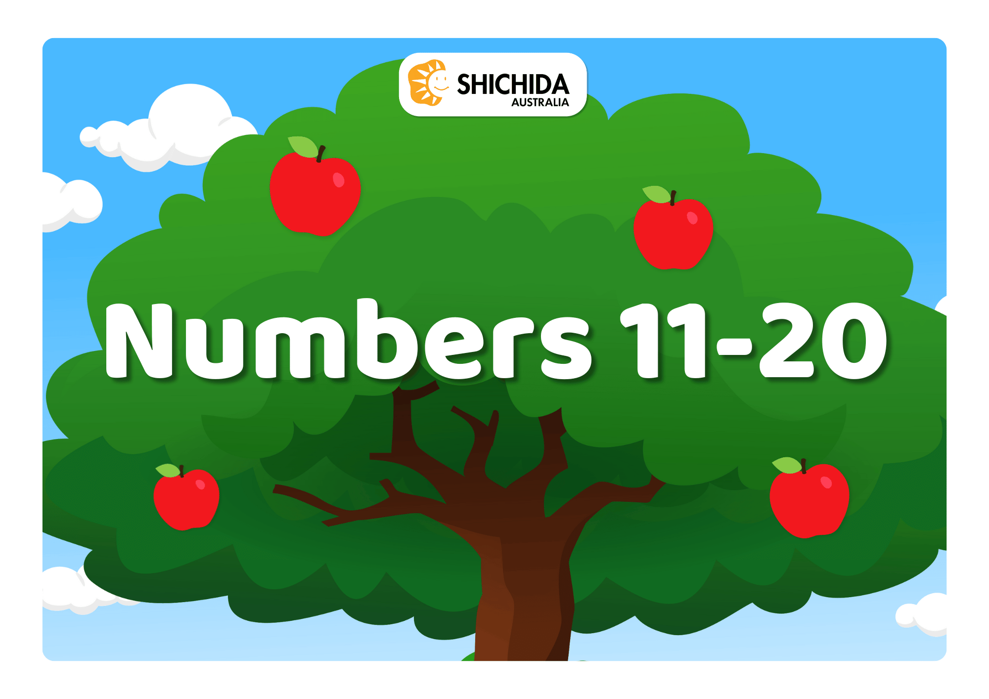 Flash Card Numbers 11-20 math flashcards