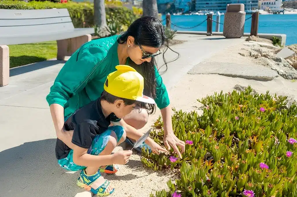 Children learning to care for plants and the environment