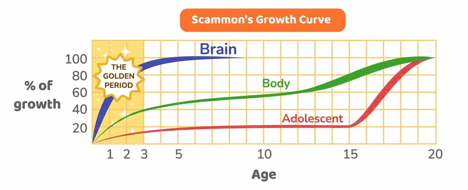 The Golden period of development is from birth to age 3