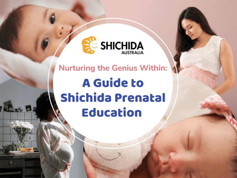 prenatal development guide