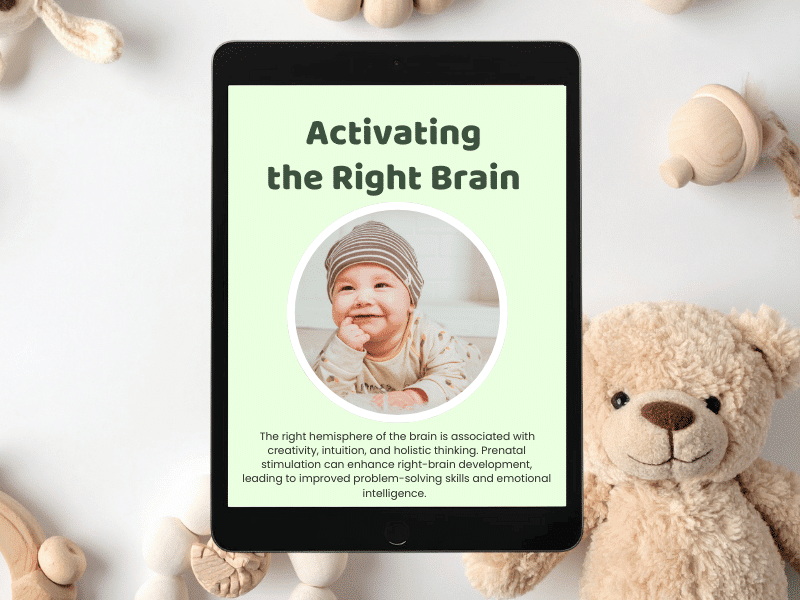 Prenatal education in utero activating the right brain ebooks