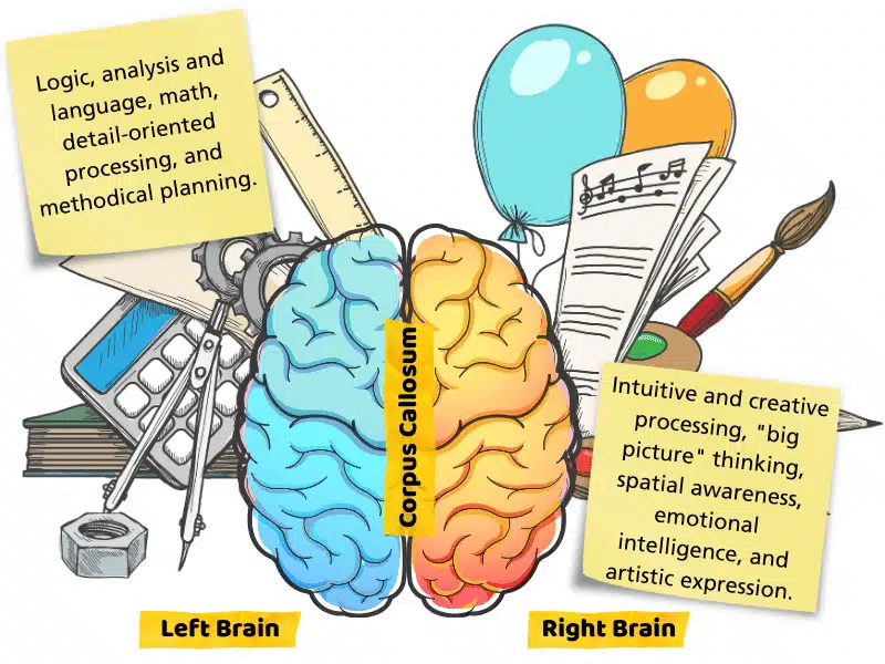 Right Brain in Early Learning: Science, Myths & Development