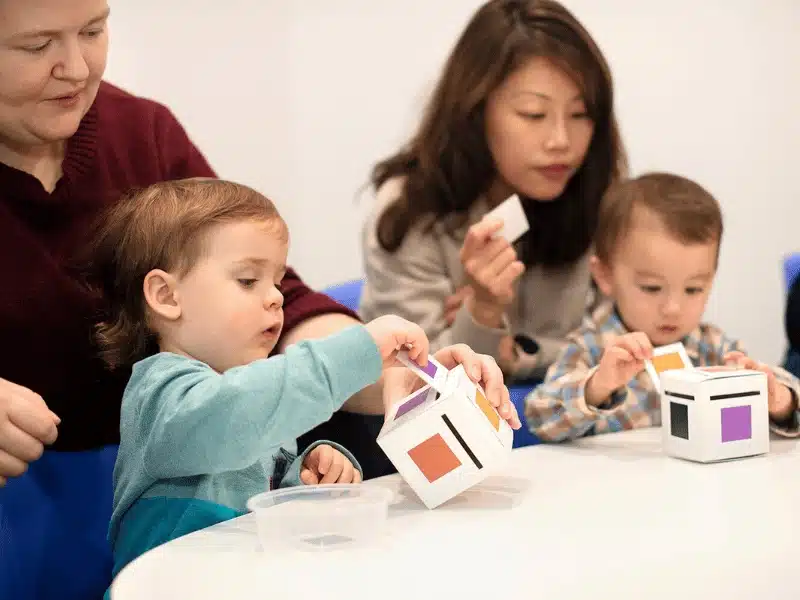 Whole Brain Development: Science & Learning